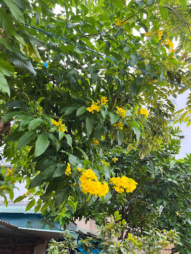 Top 20 khách sạn mới Huyện Bù Gia Mập Bình Phước 2022