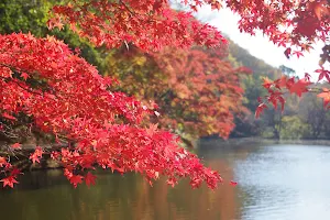 Izumi Nature Park image
