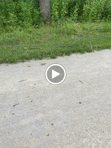 Car Repair and Maintenance «Midas», reviews and photos, 130 W Roosevelt Rd, West Chicago, IL 60185, USA