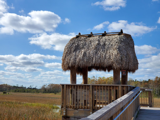Nature Preserve «Grassy Waters Preserve», reviews and photos, 8264 Northlake Blvd, West Palm Beach, FL 33412, USA