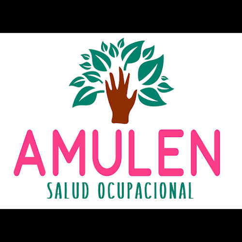 Opiniones de Amulen salud ocupacional en Talcahuano - Médico