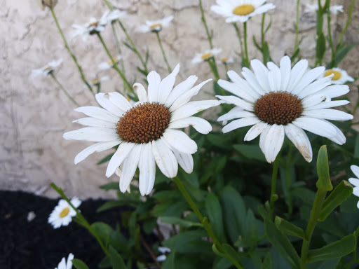 Bar & Grill «The Club at Diamond Beach», reviews and photos, 600 E Raleigh Ave, Wildwood Crest, NJ 08260, USA