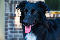 C. Anderson Photography - Photo 6 - Car repair in Wetumpka, AL, Montgomery