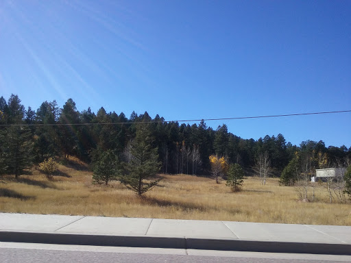 Home Improvement Store «Tractor Supply Co.», reviews and photos, 919 Spruce Haven Dr, Woodland Park, CO 80863, USA