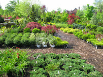 Wiesner Brothers Nursery Inc