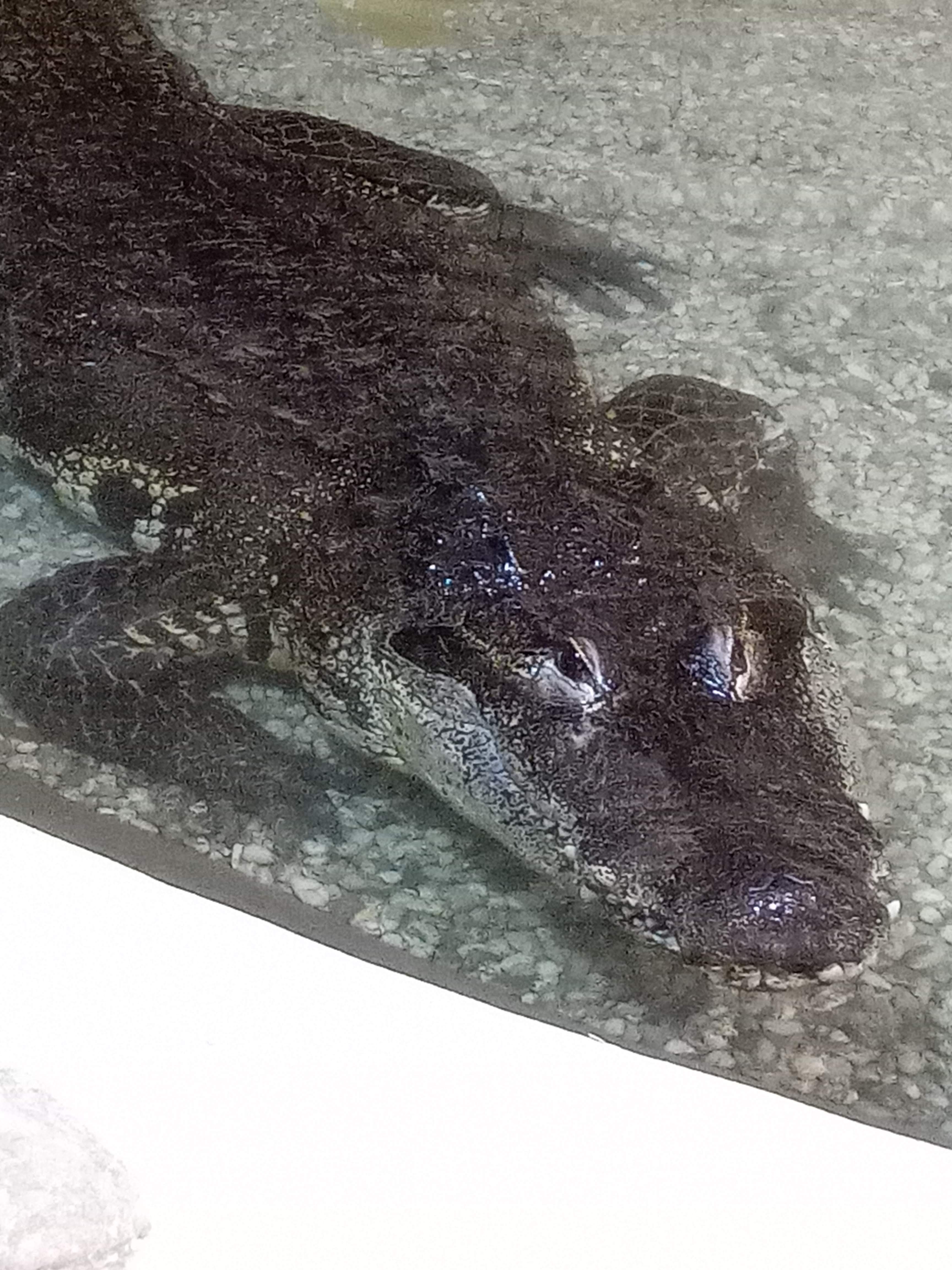 Photo n° 8 de l'avis de Corinne.l fait le 18/08/2020 à 12:53