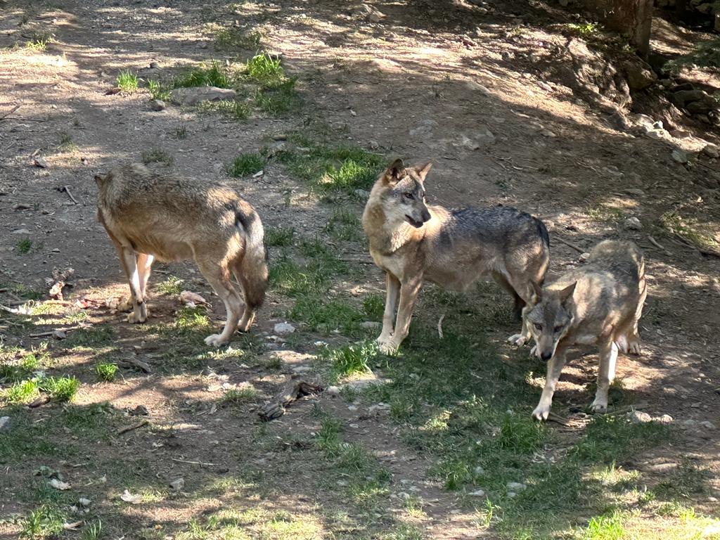 Photo n° 3 de l'avis de Muriel.e fait le 14/10/2023 à 10:32