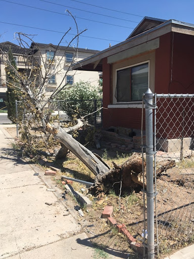 El Paso Tree Removal