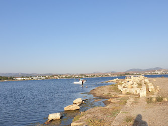Teos Antik Kenti Güney Limanı