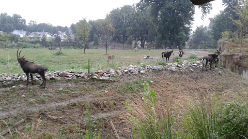 Foundation «The Henry Doorly Zoo», reviews and photos, 3701 S 10th St, Omaha, NE 68107, USA