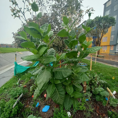 Huerta Comunitaria Tahuasuca Amaru Sua