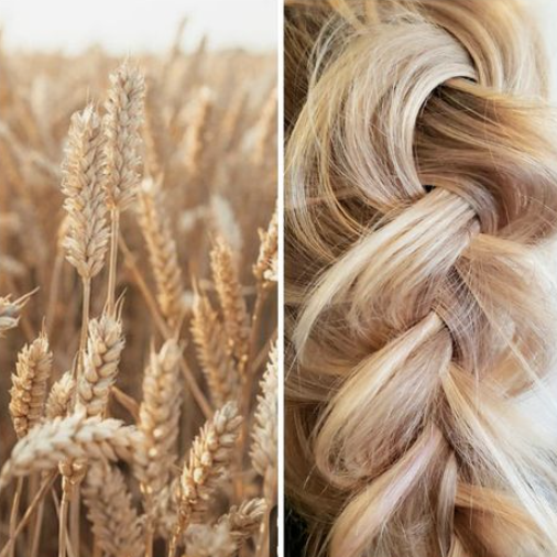 Hair Salon «James Salon», reviews and photos, 1125 W Elizabeth St, Fort Collins, CO 80521, USA