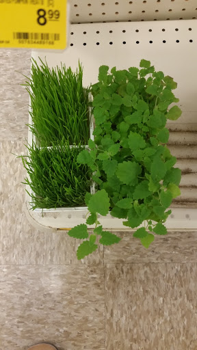 Pet Supply Store «PetSmart», reviews and photos, 263 Midway Blvd, Elyria, OH 44035, USA