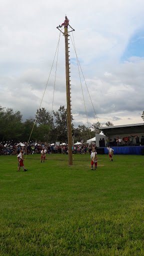 Festival Mcallen