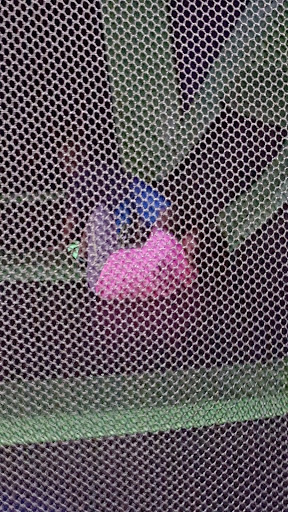 Amusement Center «Launch Trampoline Park: Merrimack Valley», reviews and photos, 96 Milk St, Methuen, MA 01844, USA