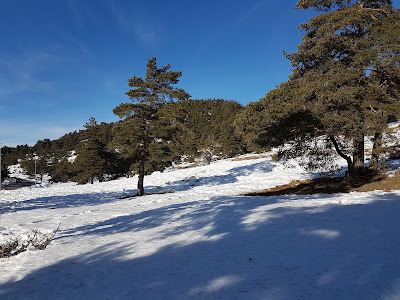 Parking à Gréolières