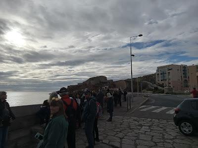 Les Pavots à Sète