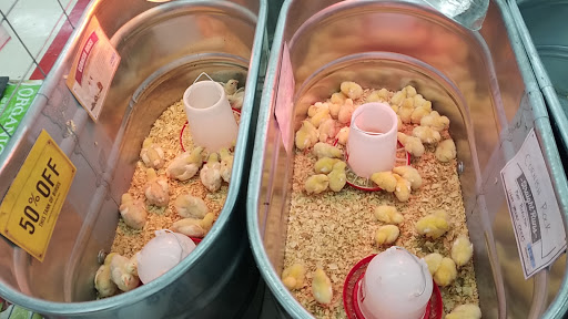 Home Improvement Store «Tractor Supply Co.», reviews and photos, 398 NJ-57, Washington, NJ 07882, USA