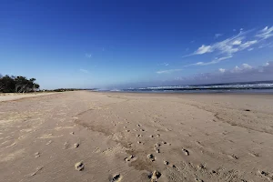 Cumbebin Swamp Nature Reserve image