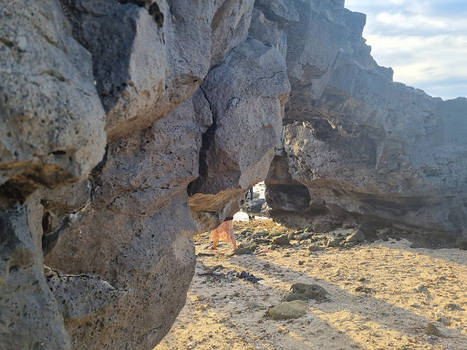 Top 20 cửa hàng akemi Huyện Lý Sơn Quảng Ngãi 2022