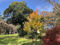 陸奥国分寺薬師堂