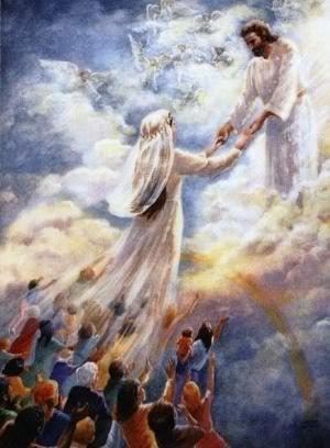 Non-Profit Organization «Rescue Mission Alliance», reviews and photos