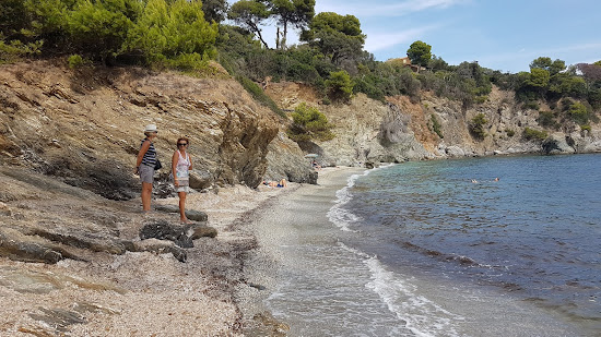 Plage des Darboussieres