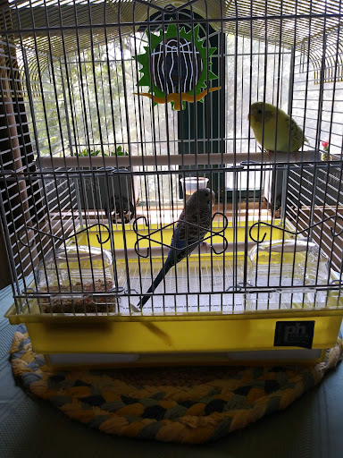 Pet Supply Store «PetSmart», reviews and photos, 17677 Haggerty Rd, Northville, MI 48168, USA