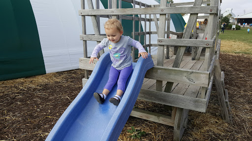 Tourist Attraction «Bloomsbury Farm», reviews and photos, 3260 69th St, Atkins, IA 52206, USA