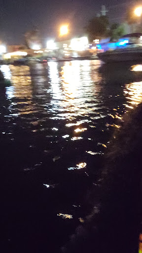 Surf Shop «Sunrise Paddleboards, LLC.», reviews and photos, 2520 N Federal Hwy, Fort Lauderdale, FL 33305, USA