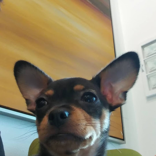 Hair Salon «Cathedral Park Salon», reviews and photos, Cathedral Park Salon, 7227 N Philadelphia Ave #103, Portland, OR 97203, USA