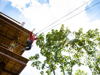 Go Ape Battersea