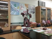 Bibi's Tutoring Center LLC - Photo 9 - Car repair in Bronx, NY, Bronx