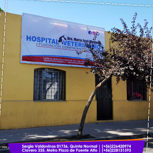 Hospital Veterinario Fundación Comprometidos - Veterinario