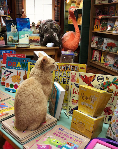 Gift Shop «Paper Moon», reviews and photos, 206 A St, McGregor, IA 52157, USA