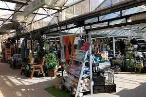 Stevenage Garden Centre image