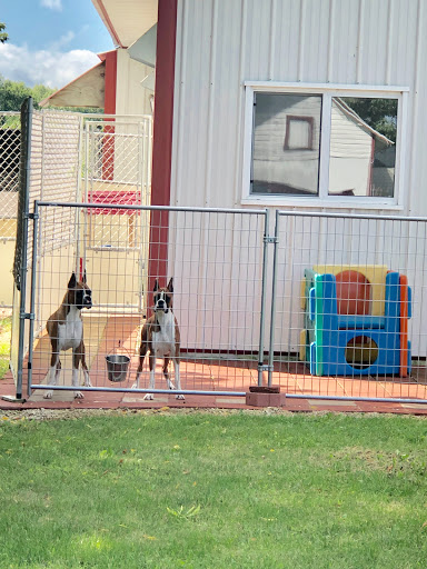 JTM Boxers Play And Stay