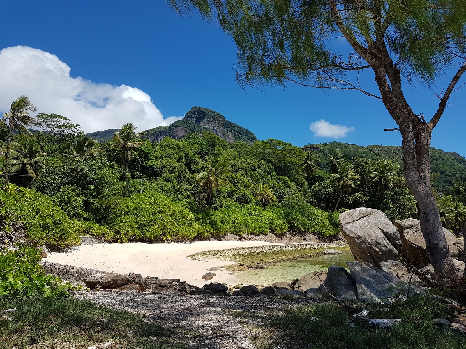 Photo de Port Glaud Lagoon Beach et ses beaux paysages