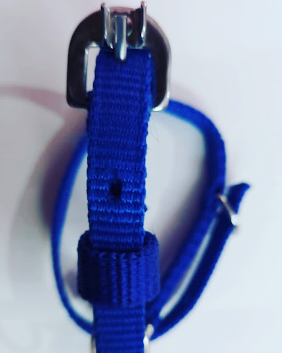 Pet Supply Store «Pet Supplies Plus», reviews and photos, 800 Morris Turnpike #101, Short Hills, NJ 07078, USA