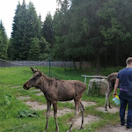 Photo n°1 de l'avis de Jessica.r fait le 13/06/2021 à 17:59 sur le  Ferienpark Merkelbach à Thale