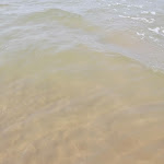 Photo n°3 de l'avis de rocco.o fait le 31/08/2019 à 12:53 sur le  Pummarella à Apricena