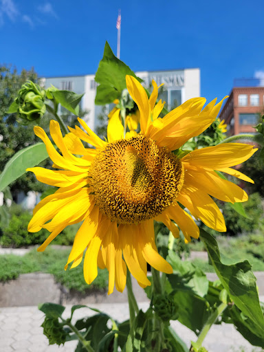 Park «Van Der Donck Park», reviews and photos, 41 Dock St, Yonkers, NY 10701, USA