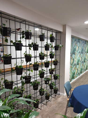 Reviews of Florax Indoor Plants in Hokitika - Interior designer