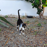 Photo n°5 de l'avis de Nunzio.e fait le 16/08/2022 à 08:44 sur le  Hotel Villa Enrica - Aeolian Charme à Lipari