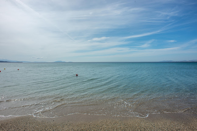 Σχόλια και κριτικές για το Delfini