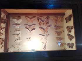 Museo De Zoología UNAS