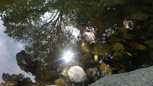 Performing Arts Theater «Oregon Shakespeare Festival», reviews and photos