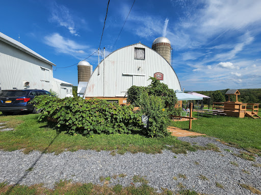 Winery «Hummingbird Hills Winery», reviews and photos, 1442 Burtonville Rd, Fultonville, NY 12072, USA