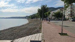 Cınarcık Plajı'in fotoğrafı ve yerleşim
