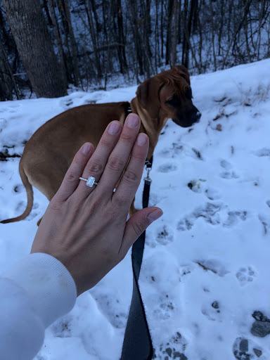 Jewelry Store «Montica Jewelry», reviews and photos, 500 S Dixie Hwy #203, Coral Gables, FL 33146, USA